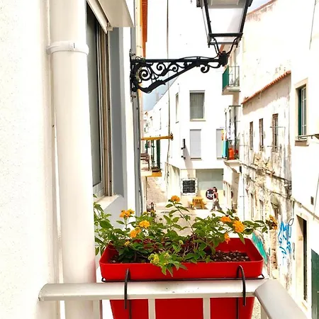A Casa Dos Zes