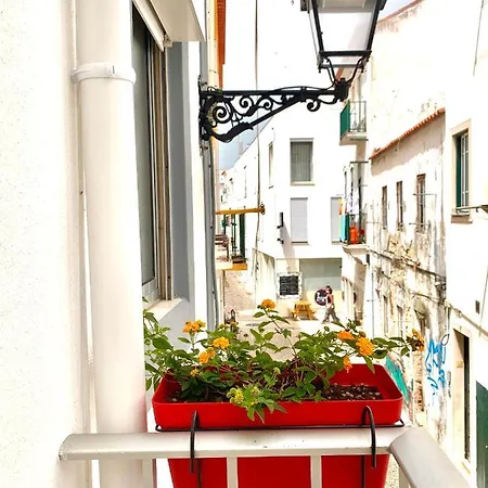 A Casa Dos Zes